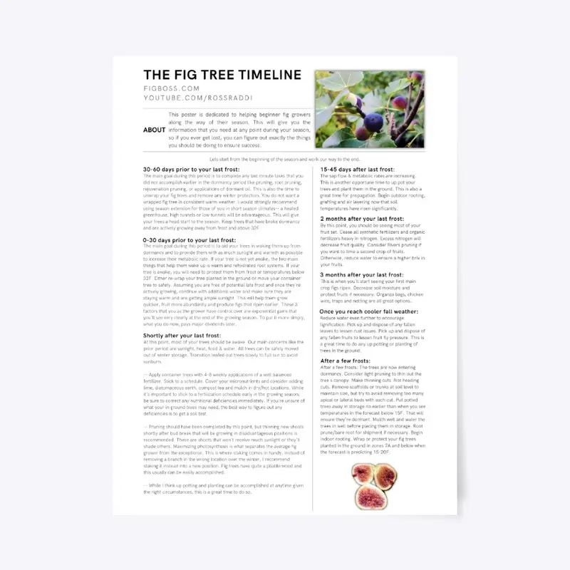 Fig Tree Timeline Poster