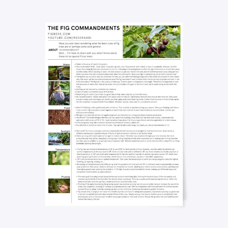 The Fig Commandments Poster