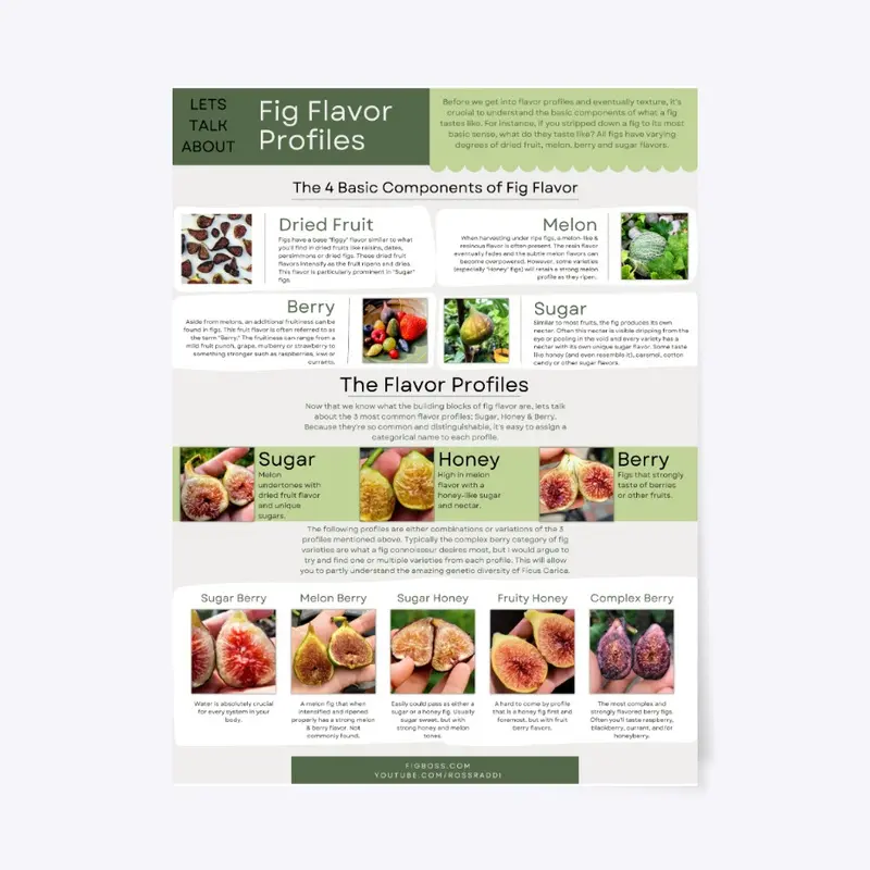 Fig Flavor Profiles Poster